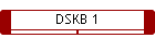 DSKB 1